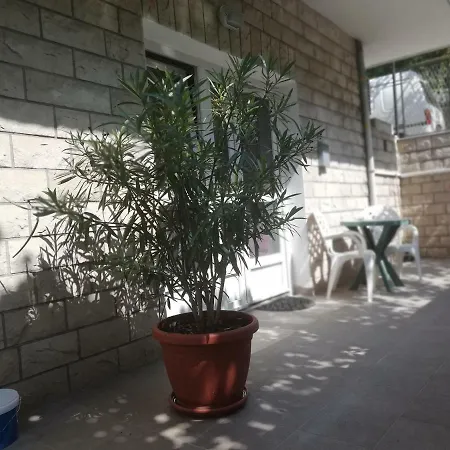 Vinko * Spalato